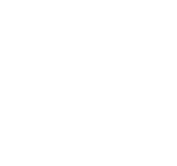 Silk Curls